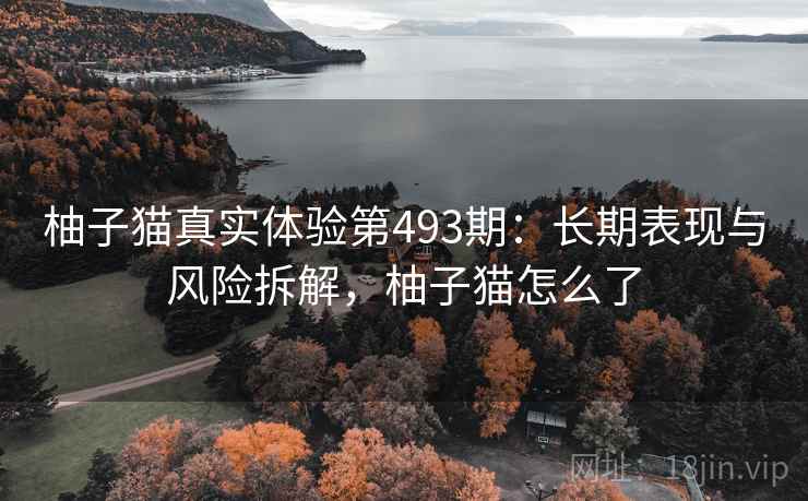 柚子猫真实体验第493期：长期表现与风险拆解，柚子猫怎么了  第2张