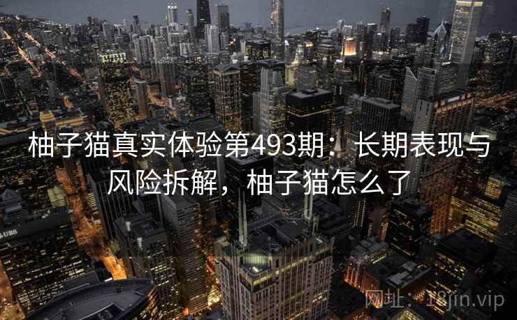 柚子猫真实体验第493期：长期表现与风险拆解，柚子猫怎么了  第1张