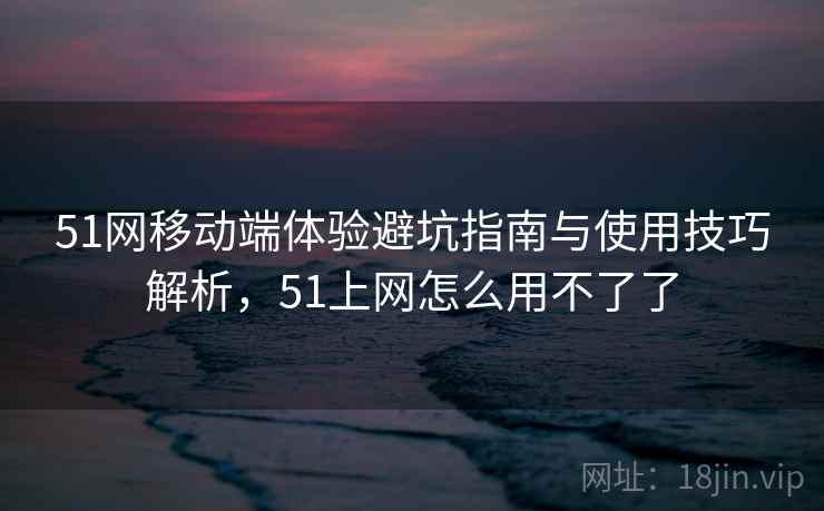 51网移动端体验避坑指南与使用技巧解析，51上网怎么用不了了  第1张