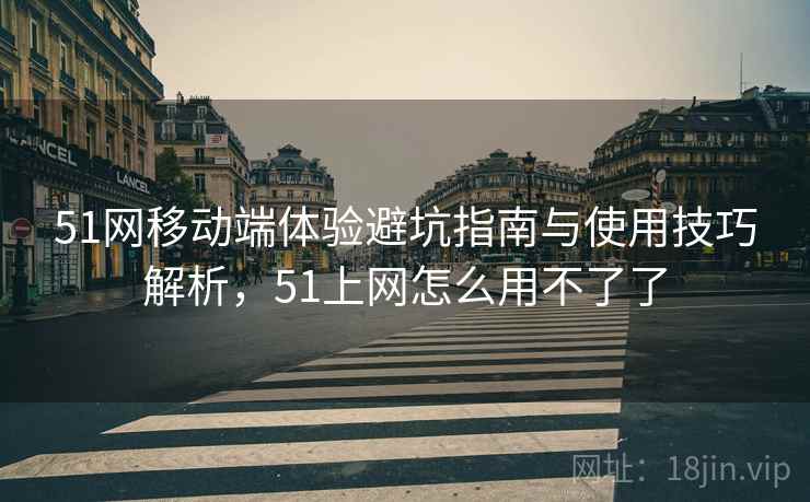 51网移动端体验避坑指南与使用技巧解析，51上网怎么用不了了  第2张