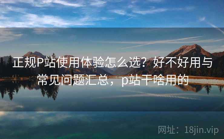 正规P站使用体验怎么选？好不好用与常见问题汇总，p站干啥用的  第1张