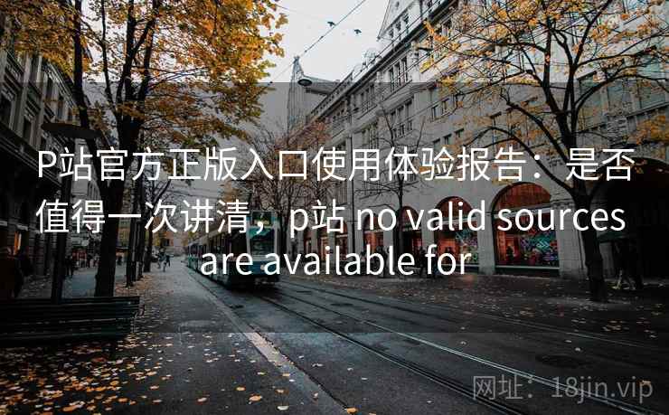 P站官方正版入口使用体验报告：是否值得一次讲清，p站 no valid sources are available for  第1张