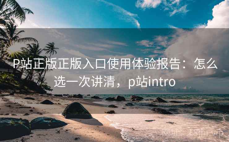 P站正版正版入口使用体验报告：怎么选一次讲清，p站intro  第2张