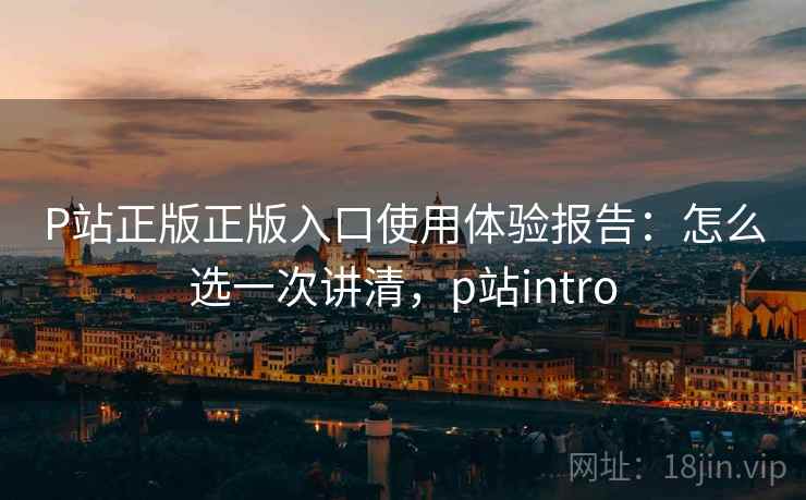 P站正版正版入口使用体验报告：怎么选一次讲清，p站intro  第1张