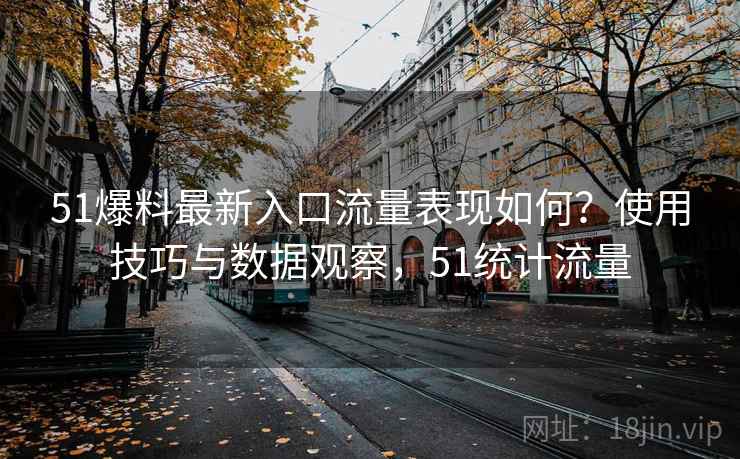 51爆料最新入口流量表现如何？使用技巧与数据观察，51统计流量  第1张