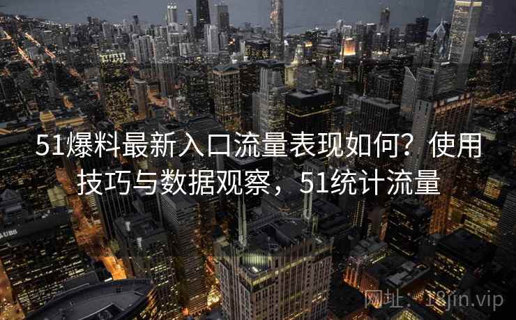 51爆料最新入口流量表现如何？使用技巧与数据观察，51统计流量  第2张